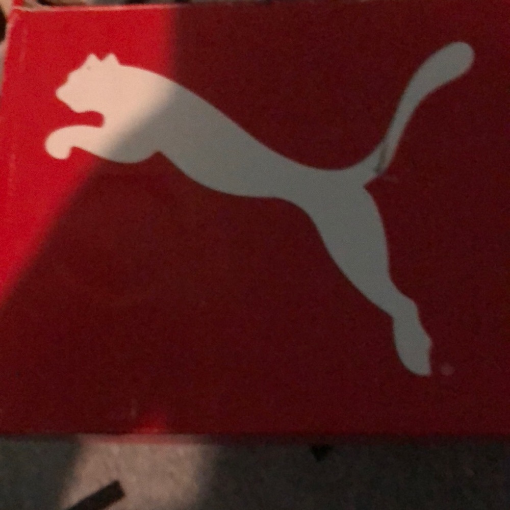 Puma vikky
